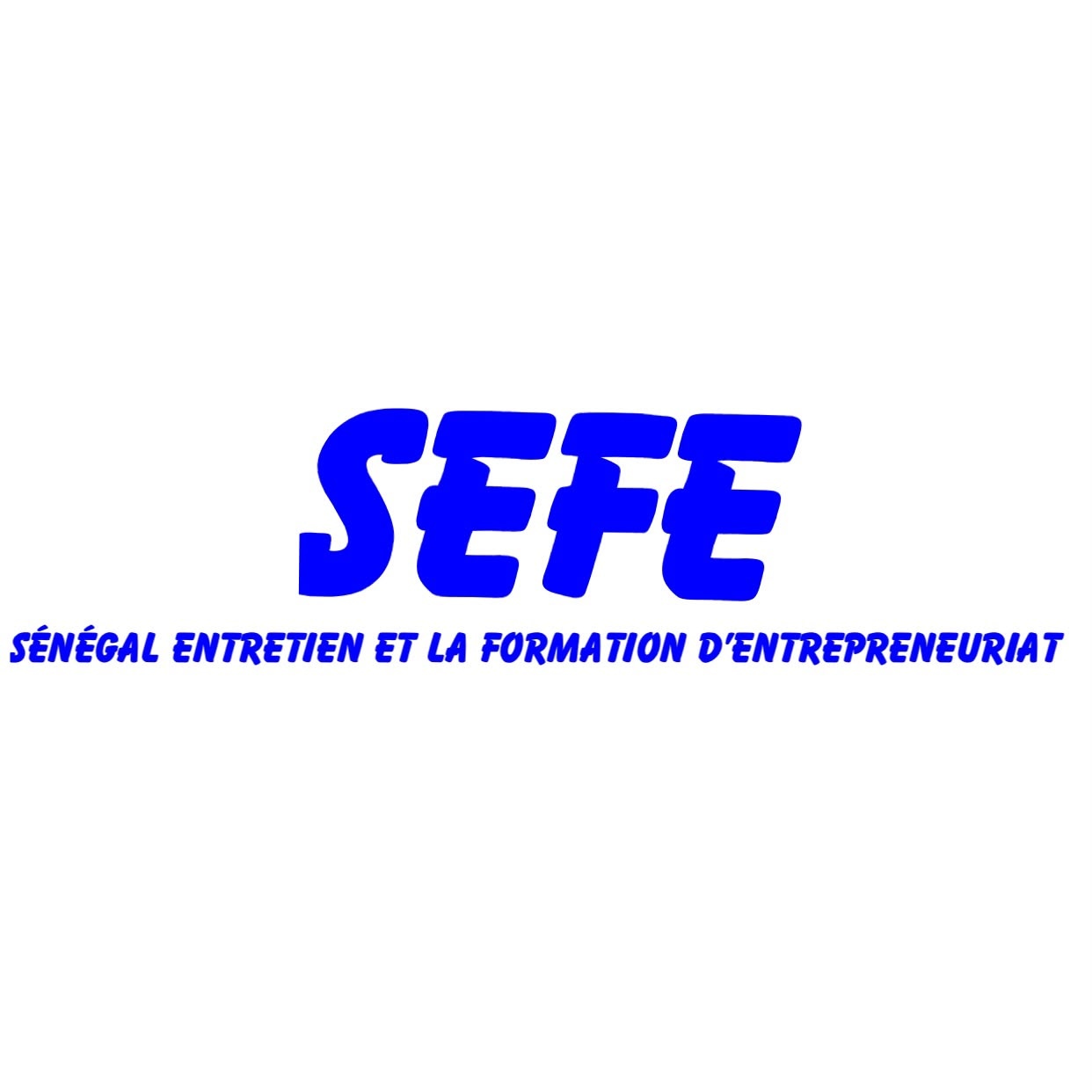 Logo officiel SEFE